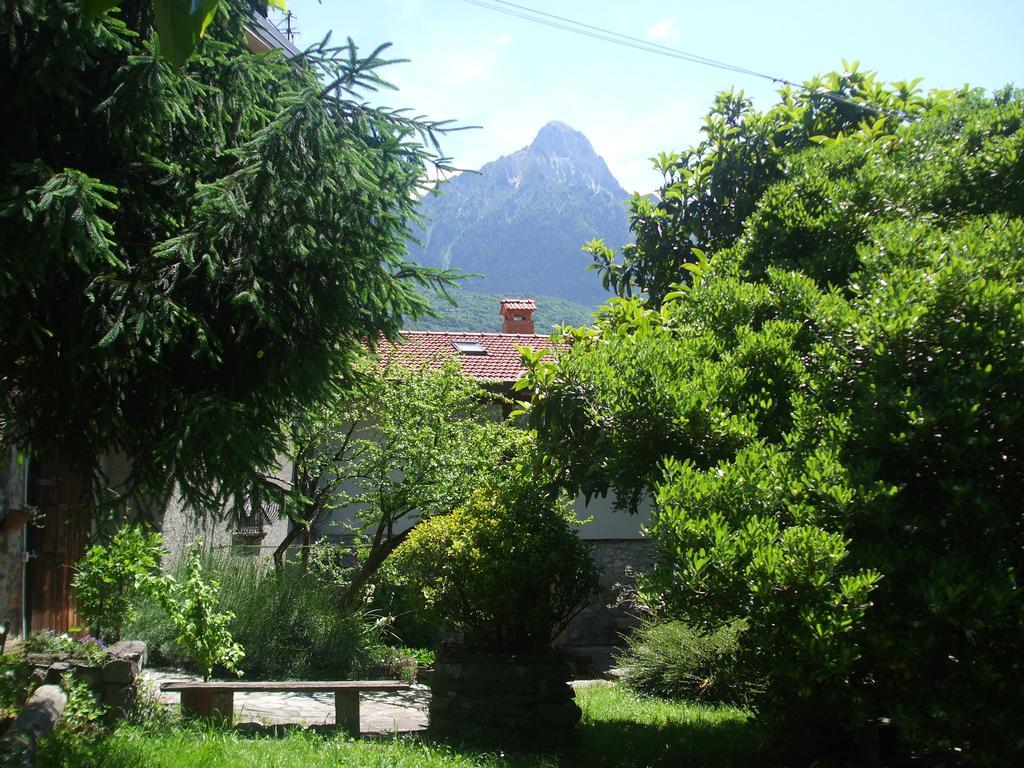 Casa Visnenza *